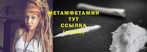 прущие грибы Беломорск