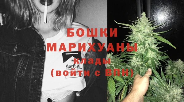 прущие грибы Беломорск