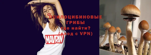 эйфоретик Заполярный