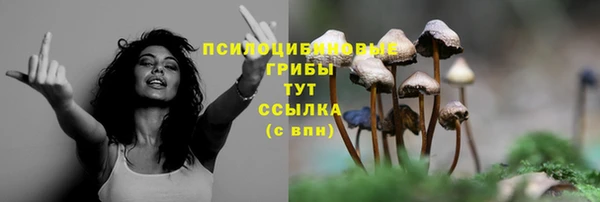 2c-b Белоозёрский