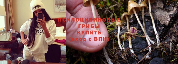 СК Сосновоборск