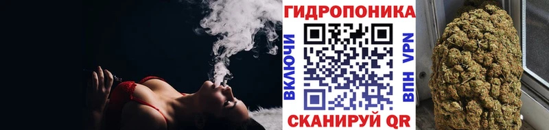 Бошки марихуана сатива  KRAKEN ТОР  Городовиковск 